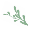 Simply Elliott icon