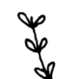 Vegan Heaven icon