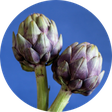 Green Evi icon