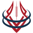FlagSpin icon