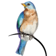 The Postm... icon