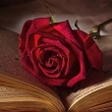 I Love Ro... icon