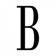 BRONDEMA icon