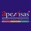 Visa consultant icon
