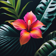 Bazodee Magazine icon