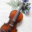 Ariana Strings LLC icon
