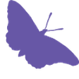 Knepp icon