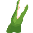 NFTgators icon