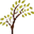 Family Tree icon