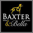 The BAXTE... icon