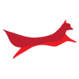 Fox Vein & Laser Experts icon