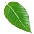 Naya Kratom icon