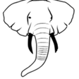 TideFans.com | By the Fans, For the Fans. icon