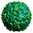 Virology Down Under icon