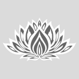 Wild Essence icon