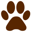 Patty Baker Humane Society Naples icon