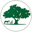 Georgia E... icon
