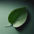 Viviscalblogshair-atom icon