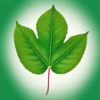 Blog - Nu... icon
