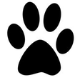 Phantom P... icon