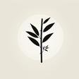 Feng Shui By Jen® icon