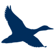 Chesapeake Bank icon