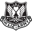 The Liz Army: Blog - The Liz Army: Bringing punk rock to health care icon