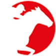 Ranvet icon
