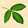 Andy's Brewing Blog icon