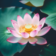 Healing Spirits icon