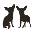 Chihuahua... icon