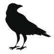 Blog - RDL icon