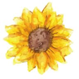 Healing Home icon