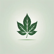 Blog | Ca... icon