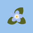 Periwinkleflowers icon