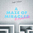 A Maze of Miracles & Madness icon
