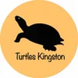 Turtles Blog - Turtles Kingston icon
