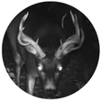Joe's Tra... icon