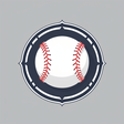 THE SPORT... icon