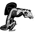 Strange Biology icon