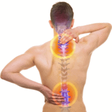 Spine Hea... icon