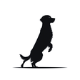 The Gundog Club icon