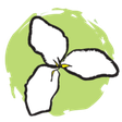 Trillium ... icon