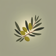 Broderie Anglaise | Athens Greece icon