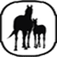 SallyHarrison.com icon