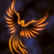 Glucoferrin by Phoenix Creative Nutraceuticals icon