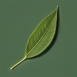 Worldofplants2020 icon