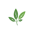 What's New at Spice Mixes icon