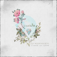 Olymountainboysblogsatom icon