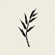 China Survive Life Abroad icon